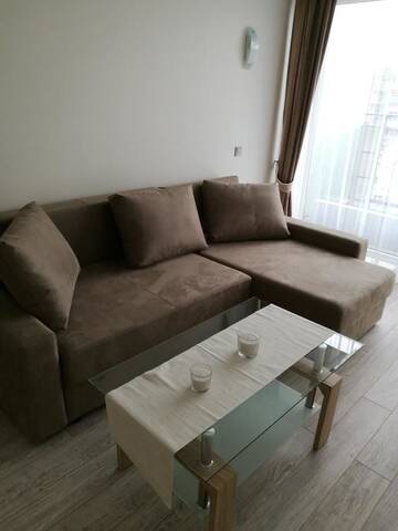 Фотографии Апартаменты Algio apartamentai г. Бирштонас (Литва) №4 Фото Апартаменты Algio apartamentai г. Бирштонас 4