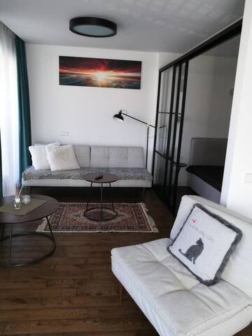 Фотографии Апартаменты Daliutes apartamentai г. Бирштонас (Литва) №3 Фото Апартаменты Daliutes apartamentai г. Бирштонас 3