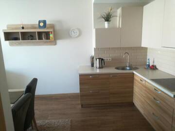 Фото номера Апартаменты Апартаменты Ramūno apartamentai г. Бирштонас 30
