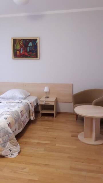 Фото номера Стандартный одноместный номер с душем Отель Domus Hotel г. Бирштонас 4