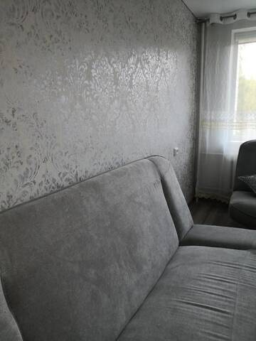 Фото номера Апартаменты с 1 спальней Апартаменты Apartamentai ,,ASTRA' г. Бирштонас 46