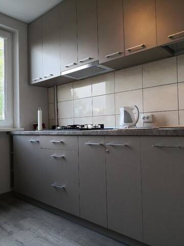Фото номера Апартаменты с 1 спальней Апартаменты Apartamentai ,,ASTRA' г. Бирштонас 49