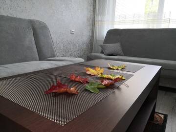 Фотографии Апартаменты Apartamentai ,,ASTRA' г. Бирштонас (Литва) №2 Фото Апартаменты Apartamentai ,,ASTRA' г. Бирштонас 2