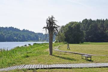 Фото номера Шале Загородные дома Villa Luxuria г. Бирштонас 6